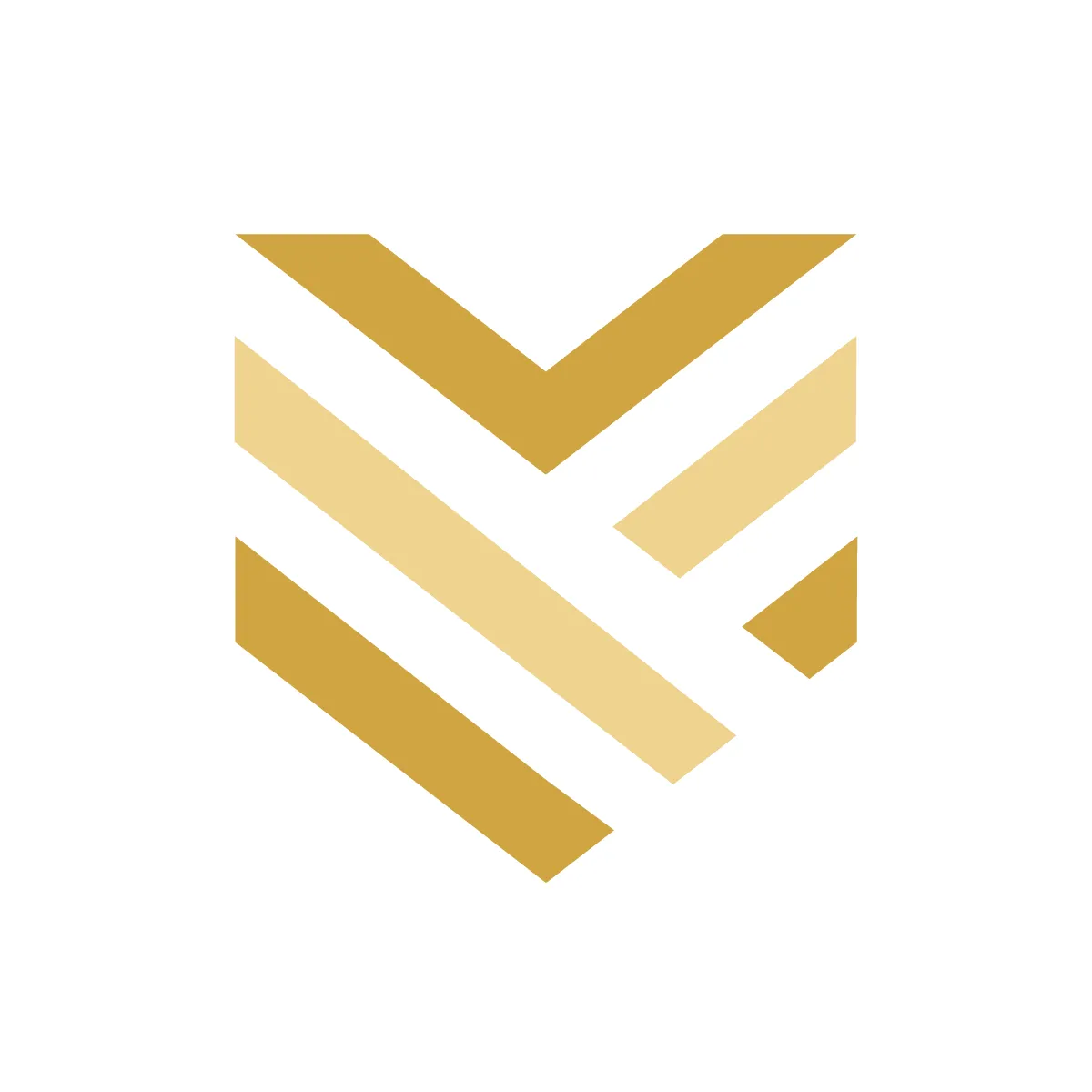 Solid Shield Icon