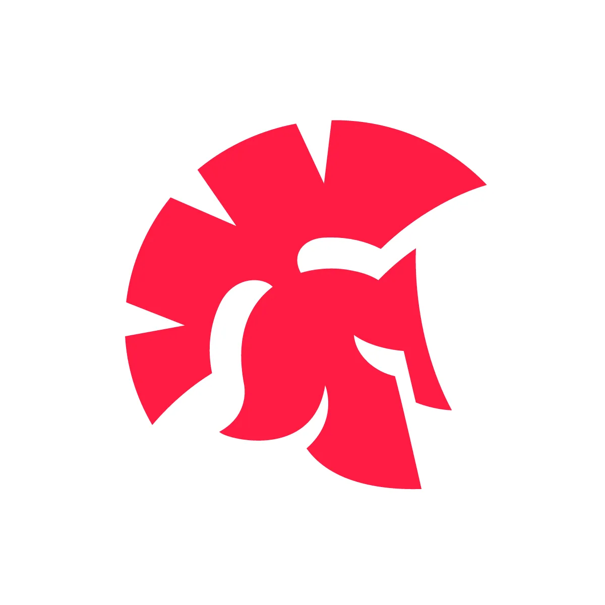 Solid Warrior Helmet Icon