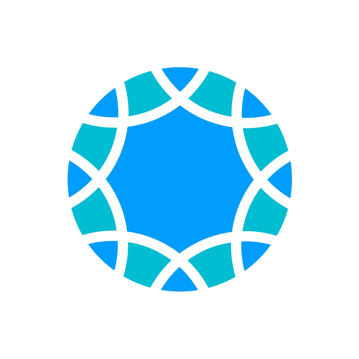 Solid Flower Icon