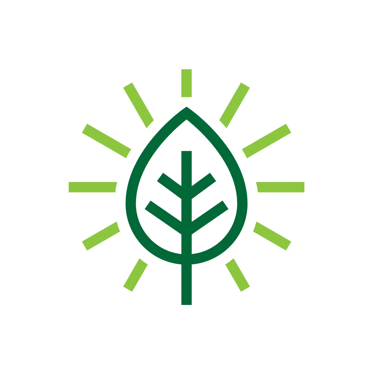 Outline Leaf Icon