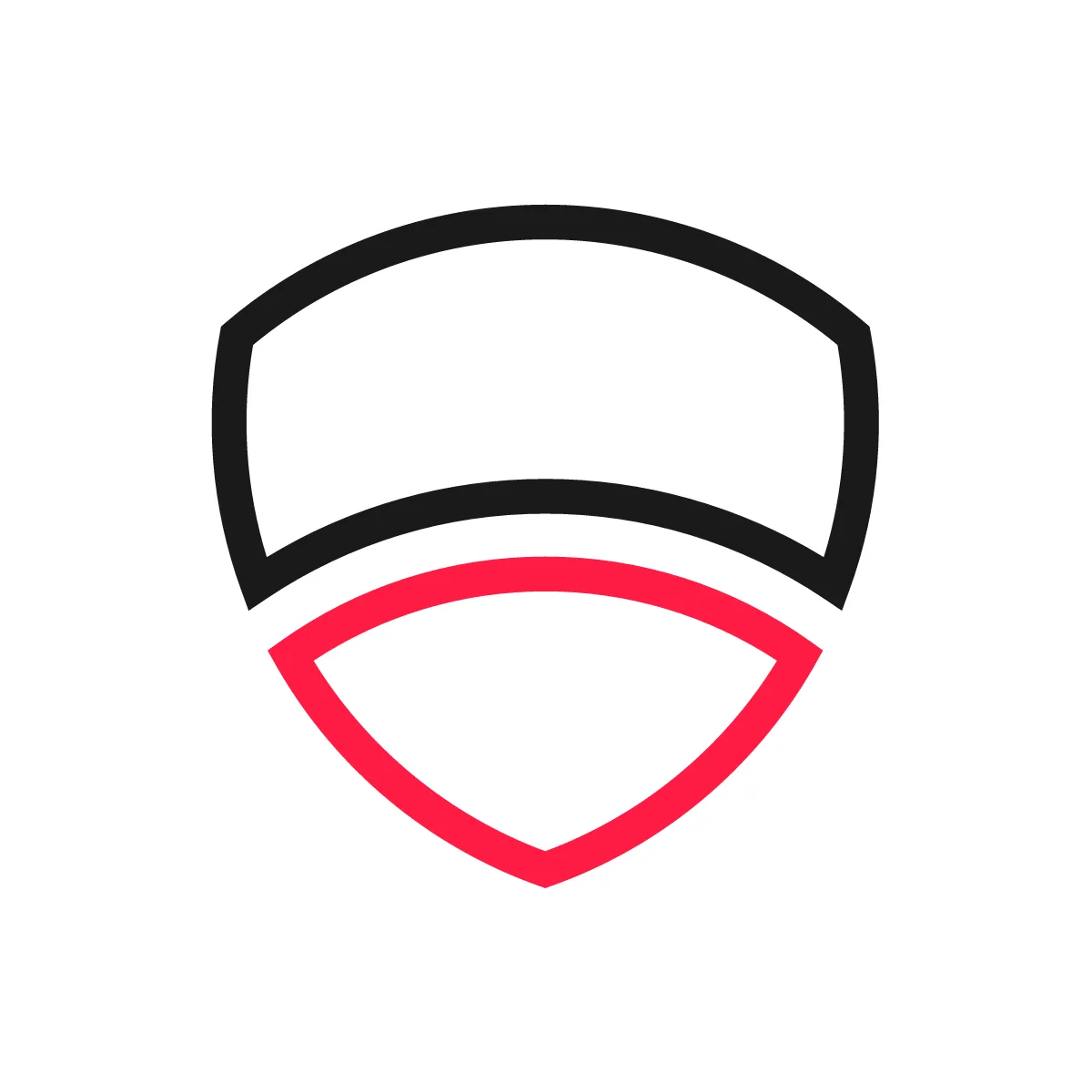 Outline Shield Icon
