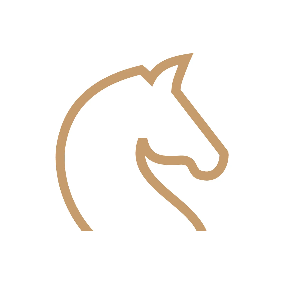 Outline Horse Head Icon